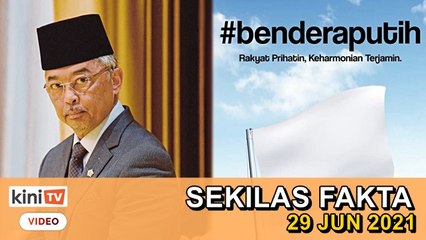 Agong ulangi titah 'secepat mungkin', Kibar bendera putih jika perlu bantuan! - SEKILAS FAKTA