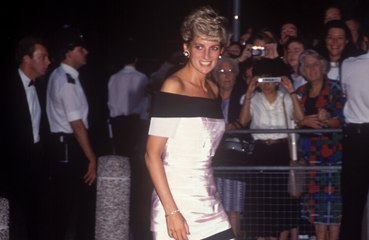 Princess Diana ‘would have made documentaries’