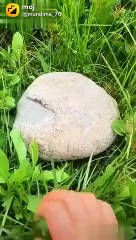 use earphones for better experience