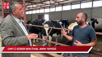 CHP'li Gürer'den ithal arpa tepkisi: Üreticiye darbe