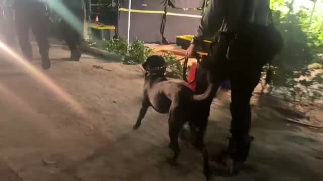 Continúan los trabajos de rescate en Miami por sexto día consecutivo