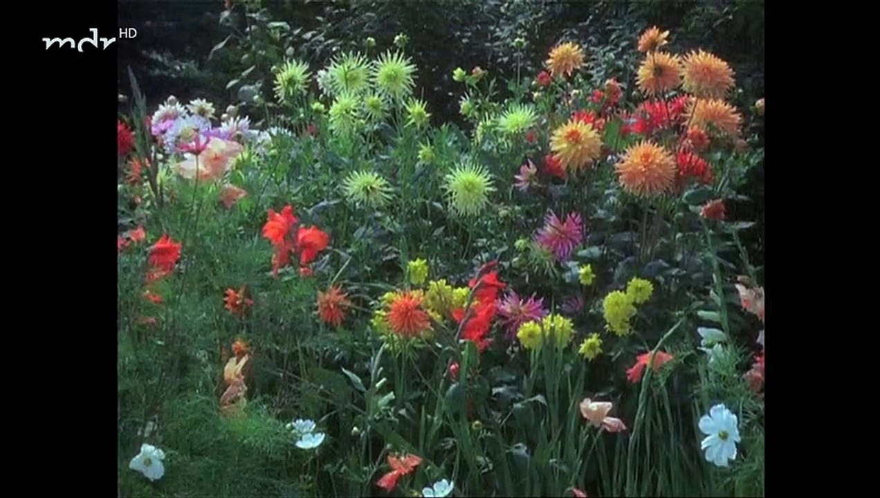 Neues übern Gartenzaun - 02. Später Frühling