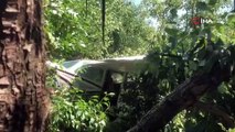 Bursa'da eğitim uçağı meyve bahçesine zorunlu iniş yaptı: 2 yaralı