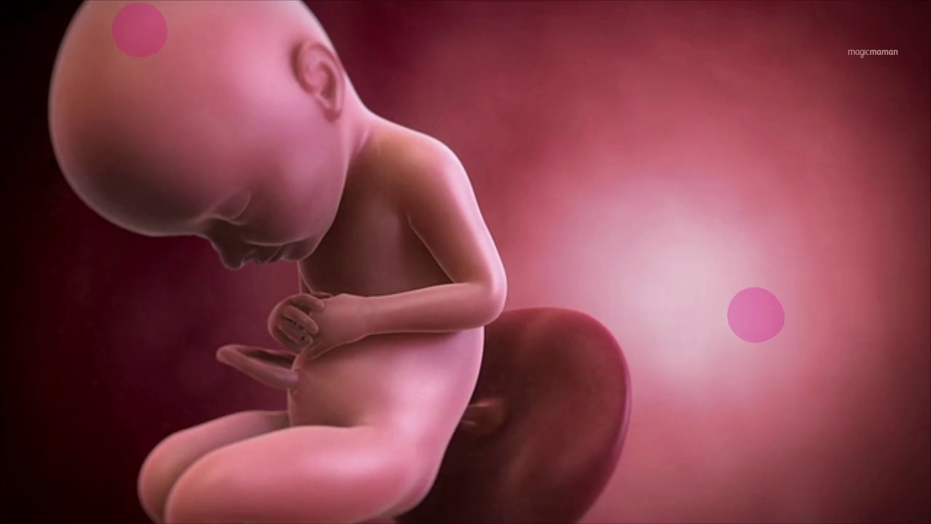 Vidéo développement du fœtus : le 8ème mois de grossesse - Vidéo Dailymotion