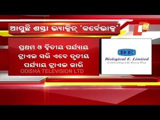 Corbevax, Likely To Be Priced at Rs 250 per Dose