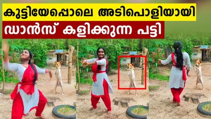 ആലപ്പുഴയിലെ അഡാറ്  പട്ടി... കളിക്കുന്ന ഡാൻസ് കണ്ടോ | Oneindia Malayalam