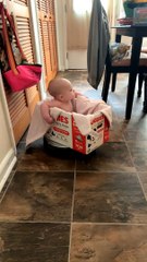 Robot Vacuum Spins Baby in Box