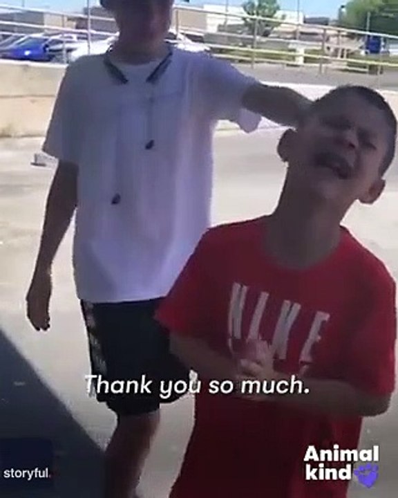 Puppy brings out the best reaction in 9-year-old 