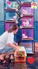 I Am Pregnant! Funny Pregnancy Situations!