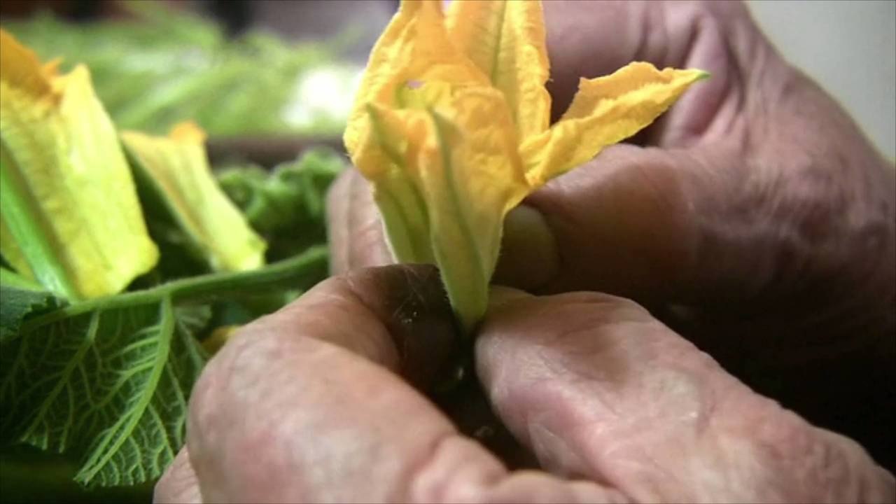 This Plant-Based Food Brand Is Giving Away Free Vegetable Tattoos