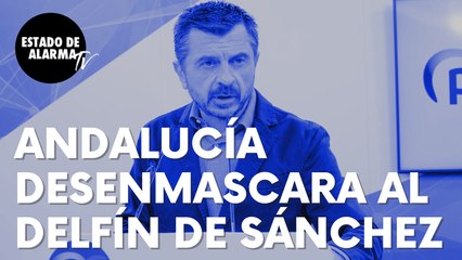 Andalucía desenmascara y deja en evidencia al nuevo delfín de Sánchez: “Espadas va a decir si bwana”