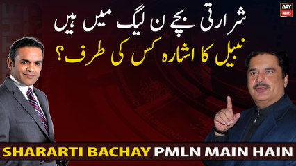 Naughty kids are in PMLN To whom does Nabeel Gabol point?