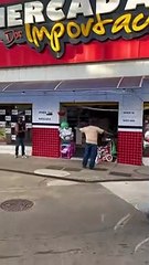 Boi foge de leilão, corre pela cidade e invade loja