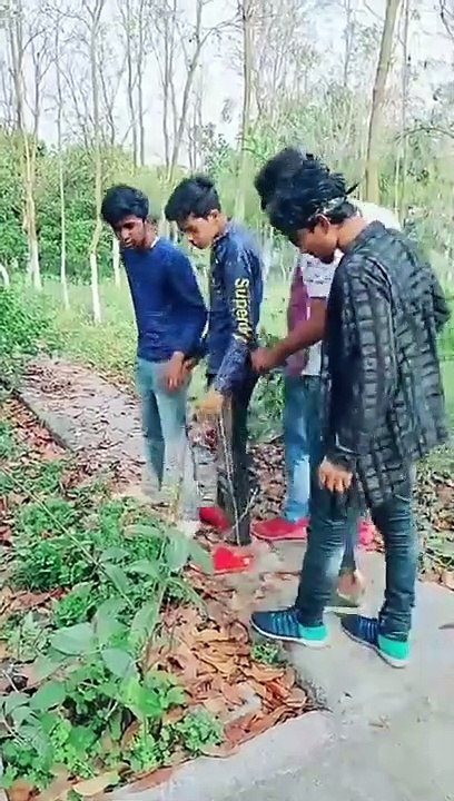 Try Not To Laugh Challenge   Funny Dog And Cats Vines Compilation 2020