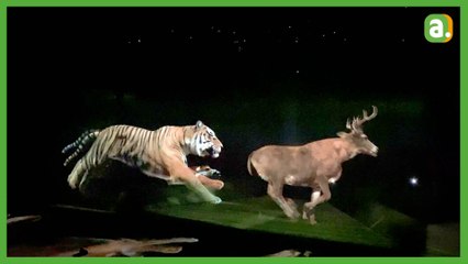 La plus grande expérience de réalité étendue au monde