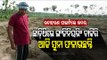 Special Story |  Bhadrak Youth Quits Engineering Job, Earns Lakhs Through Farming