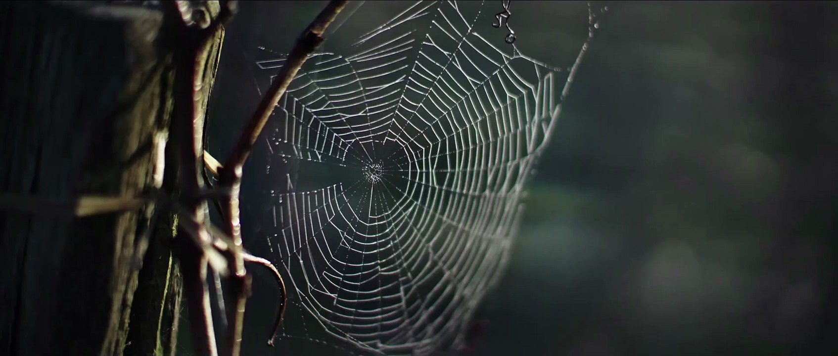 Les raisins de la misère - extrait 1