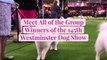 Meet All of the Group Winners of the 145th Westminster Dog Show