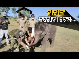 Special Story | Covid-19 Test Of Animals At Various Zoos Across India Being Undertaken