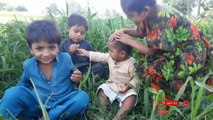 kids party bacha party in village |childrens enjoying in garden