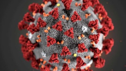 Will Delta Plus trigger third wave?