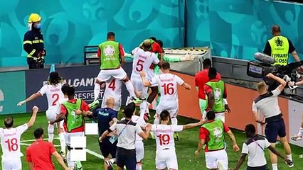Euro2020, dalla disperazione alla gioia in pochi minuti: l'esultanza del tifoso svizzero è virale