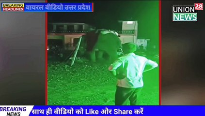 Viral Video Elephant हाथी को आई गुस्सा कर दिया बारात का इलाज  चढ़ा दी बरात देखिए सबसे बड़ी खबर