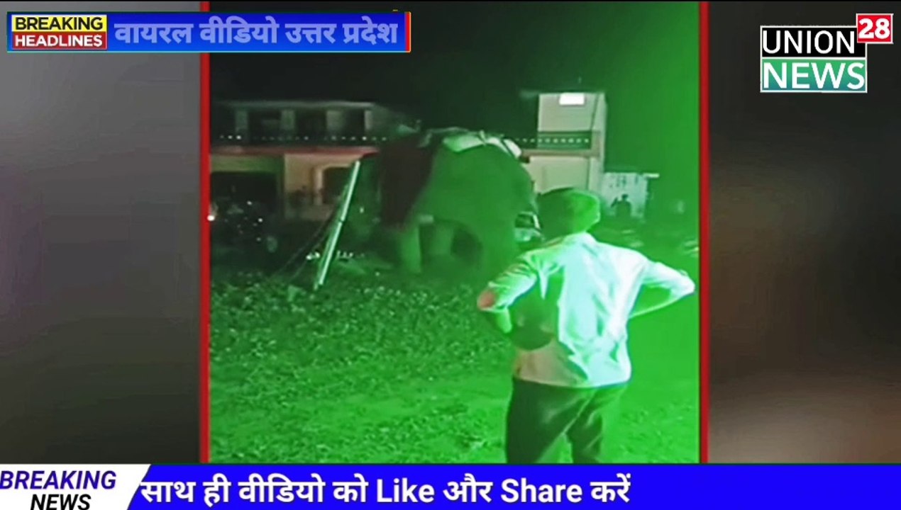 Viral Video Elephant हाथी को आई गुस्सा कर दिया बारात का इलाज  चढ़ा दी बरात देखिए सबसे बड़ी खबर