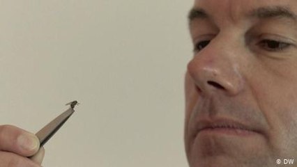 Vom Killer zum Retter: Die Wandlung eines Unternehmers