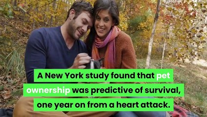 WHY HAVING A DOG CAN BE GOOD FOR YOUR HEALTH