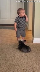 Puppy Wants Belly Scratches from Baby Buddy