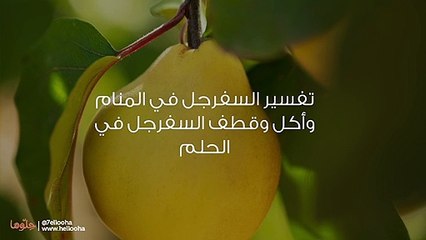 تفسير السفرجل في المنام وأكل وقطف السفرجل في الحلم