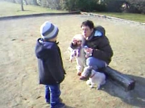 des bulles encore des bulles 3