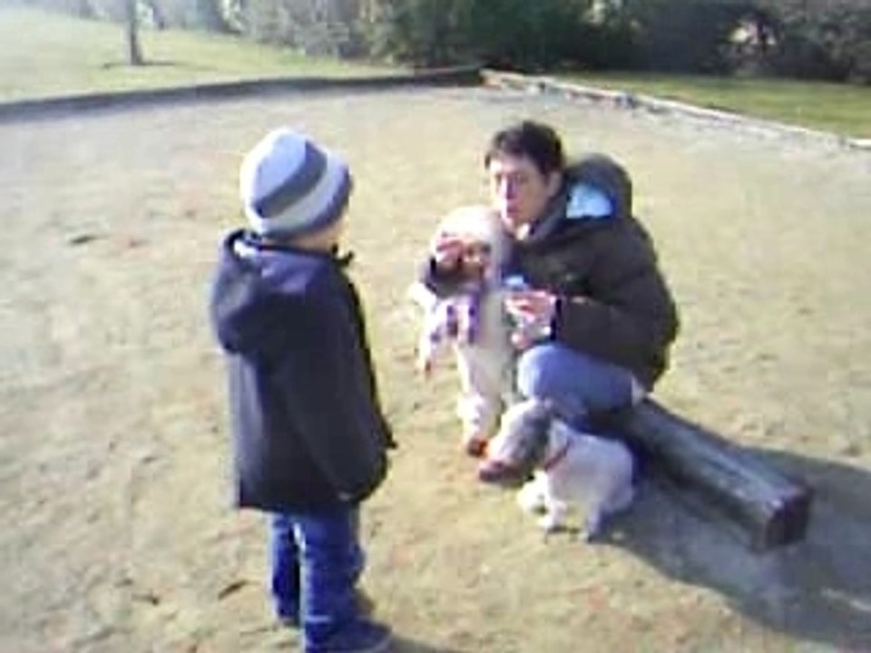 des bulles encore des bulles 3