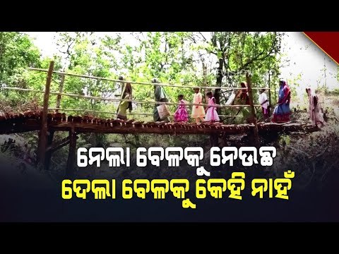 Special Story | Ganjam | Ignored By Govt, Villagers Make Bamboo Bridge On Their Own