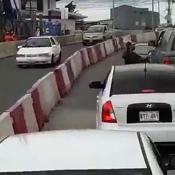 Chofer matón se baja de carro para agredir conductor y termina con su carro destrozado