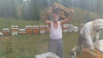 Gömleğini çıkarıp arıların arasına daldı, üstüne bunu söyledi: Arıdan korkma karıdan kork