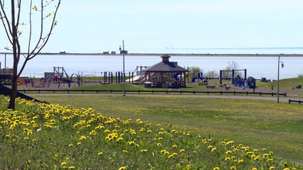 29 juin TOPO ER projet participatif Carleton