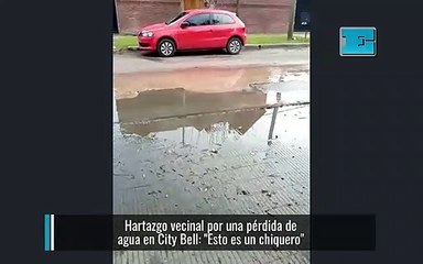 Hartazgo vecinal por una pérdida de agua en City Bell: "Esto es un chiquero"