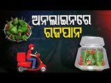 Papu Betel Shop In Baripada Serves Vatieties Of Paan During Raja