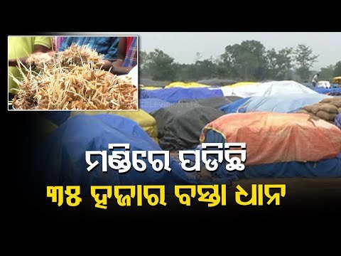 Mismanagement In Paddy Procurement Alleged At Binika, Sonepur