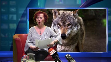 Dagmar Truxa Sachen fürs Herz Folge 34