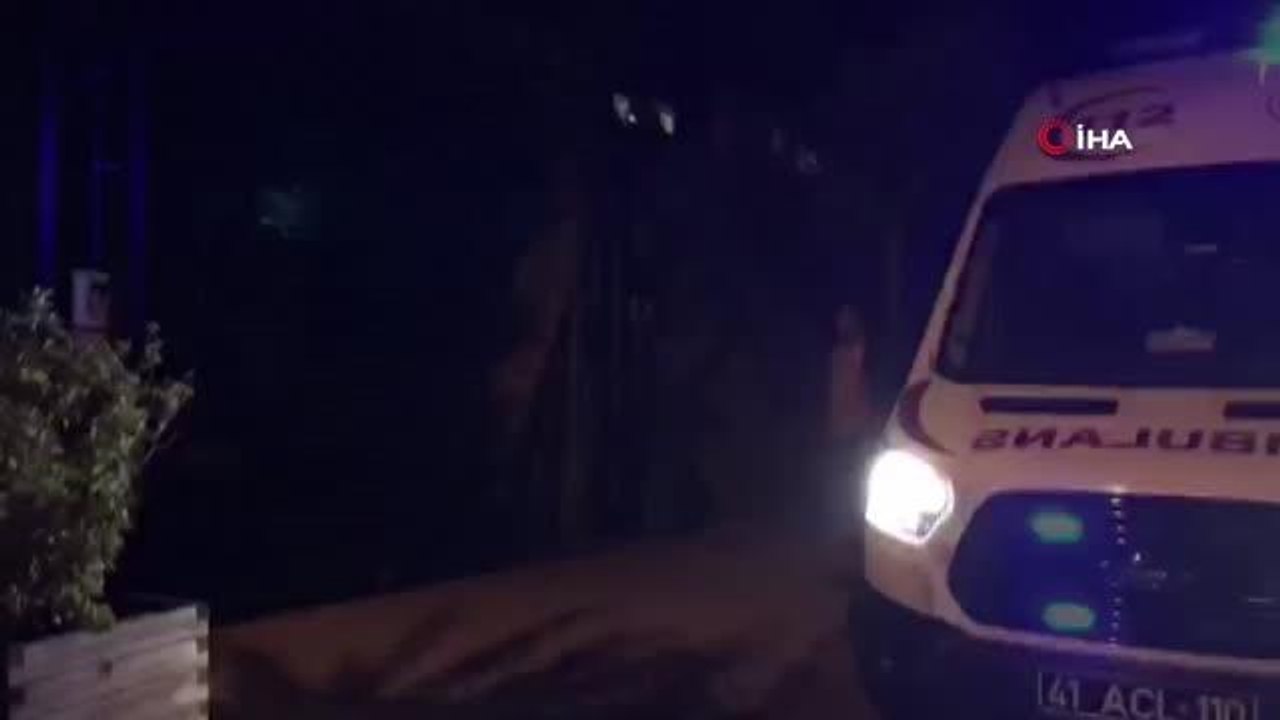Ağaca çıkmak için kullandığı merdiven sonu oldu