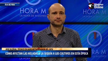 Como afectan las heladas y la sequía a los cultivos en esta época