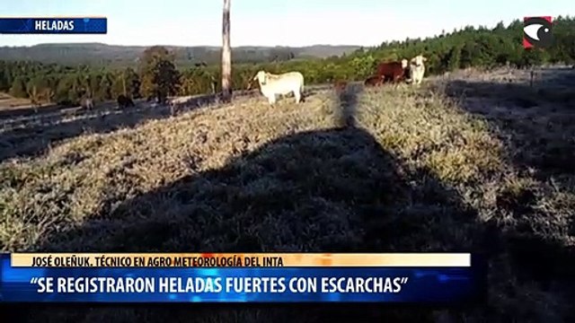 “Se registraron heladas fuertes con escarchas”
