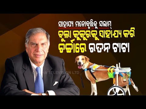 Special Story | Ratan Tata Helps Paralysed Stray Dog, Provides Him New Home