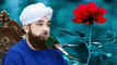 Allama muhammad Raza Saqib Mustafai Most Emotional Bayan - zindagi ki khubsurti - Complete Islamic Video Bayan