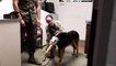 US Military News • Marine Corps Base Quantico Veterinary Treatment Facility
