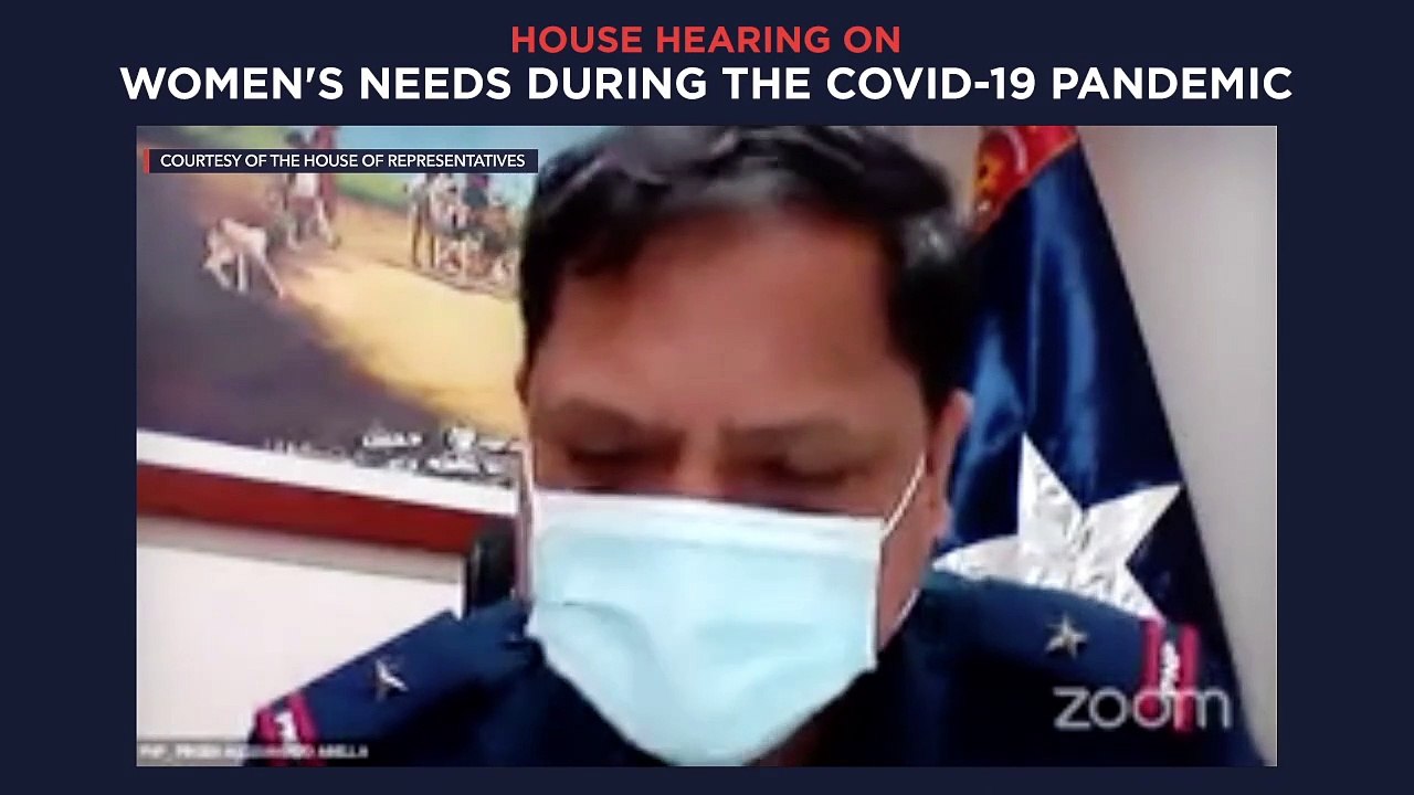 House of Representatives: Hearing on women's needs during the COVID-19 pandemic