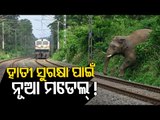 Odisha To Follow Gujarat Model To Save Elephants From Train Accidents